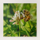 Suche nach honig puzzle Insekten