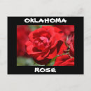 Suche nach hybrid postkarten Rose