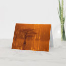 Recherche de cypress tree cartes postales Parc d'état george smith