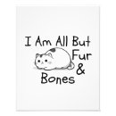 Suche nach scherzen ich poster Katze