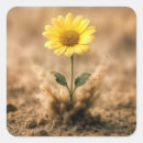 Suche nach margerite aufkleber Gänseblümchen