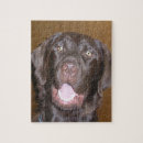 Recherche de laboratoire puzzles Animal