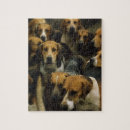 Recherche de chien de chasse puzzles Animaux domestiques