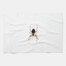Recherche de araignée cuisine linges Arachnid