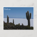 Recherche de uyuni cartes postales Cactus
