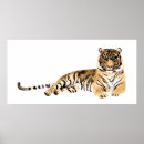 Suche nach tiger aquarell poster Tierskizze
