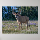 Suche nach olympischer nationalpark poster Waschbecken