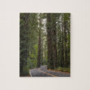 Suche nach straßen puzzle Wald