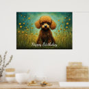 Recherche de standard poodle posters Miniature