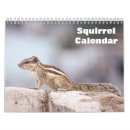 Suche nach eichhörnchen kalender Nagetier
