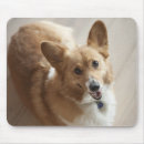 Suche nach boden mousepads Zuhause