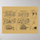 Suche nach vintage hummer poster Krebse