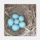 Recherche de oeufs magnets Bleu