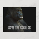 Recherche de gorille cartes postales Ape