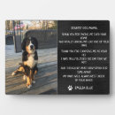 Suche nach haustier beileid fotoplatten Zitat