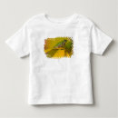 Suche nach garten blumen tshirts Pazifischer laubfrosch