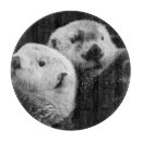 Recherche de loutre planches à découper Mer