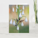 Suche nach hyacinth karten Natur