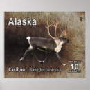 Suche nach reindeer poster Natur