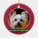 Suche nach hundeknochen ornamente Hundeschmuck