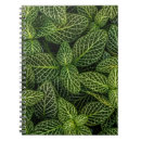 Recherche de macro feuille Nature