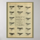 Suche nach vintage zeitschrift poster Fahrrad