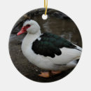 Suche nach ente ornamente Fotografie