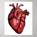 Suche nach anatomisches herz poster Arzt