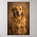 Suche nach nachdenklich poster Hund