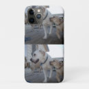 Suche nach labrador iphone hüllen Welpe
