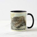 Recherche de petit somme de chat Chaton