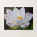 Suche nach savannah georgia puzzle Joanne wells