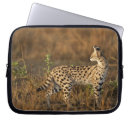 Suche nach games laptophüllen Katze