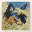 Recherche de chat siamois dessous de verres Félin