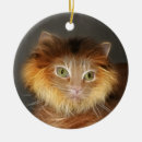 Suche nach mähne ornamente Katze