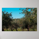 Suche nach olivenbäume poster Landwirtschaft