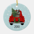 Suche nach rinder ornamente Haustier