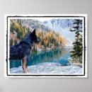 Recherche de conservation posters Image