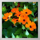 Recherche de eye care posters Pour tous