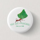 Recherche de fourmis badges Insecte
