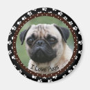 Suche nach mops liebe magnete Hund