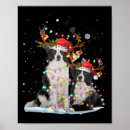 Suche nach border collie poster Lustig