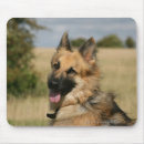 Suche nach zunge mousepads Bob und pam langrish