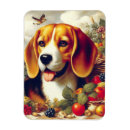 Recherche de chiot vintage magnets Chien