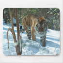 Recherche de ours brun tapis souris Zoo