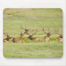 Suche nach elche mousepads Geweih