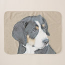 Suche nach berner sennenhund decken Welpe
