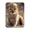 Suche nach altes magnete Tier