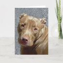 Suche nach nase karten Rot