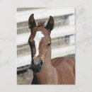 Suche nach filly poster Horse